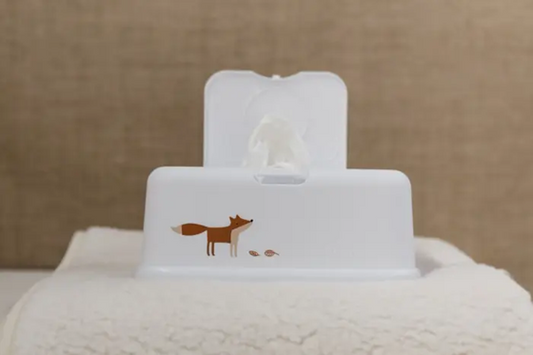 FUNKYBOX FB49 wet wipes container