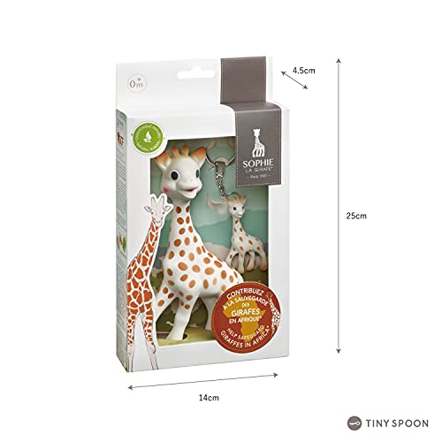 Grafika opakowania zestawu Sophie la girafe GCF z zaznaczonymi wymiarami pudełka.
