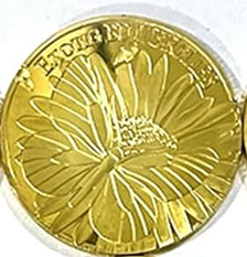 BRADOC Zoubková víla pozlacená kovová mince pod polštář 4 cm MOTÝL