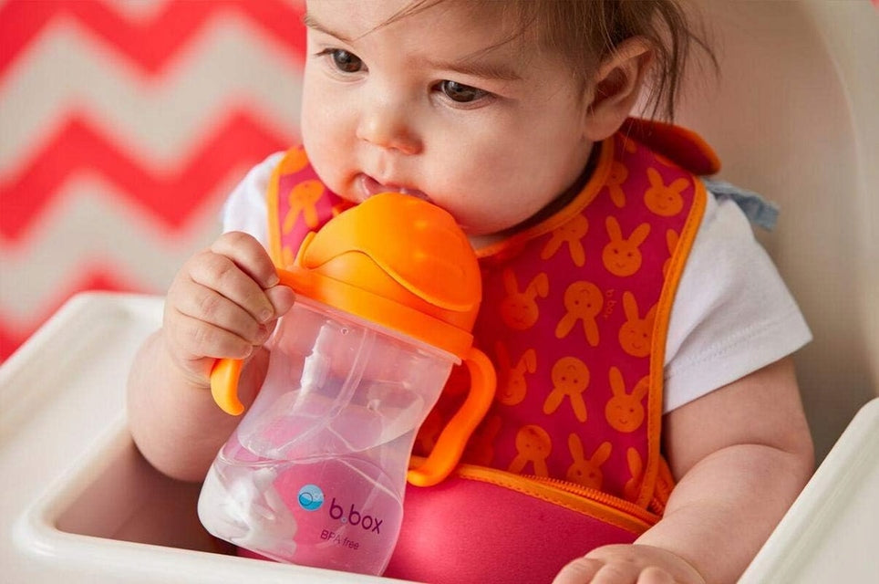 B.BOX Sippy Cup tasse anti-fuite 240 ml 6 m+