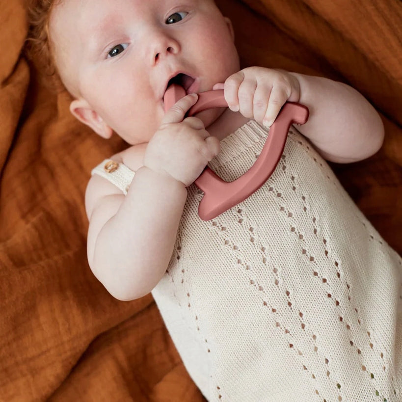 EVERYDAY BABY toothpick