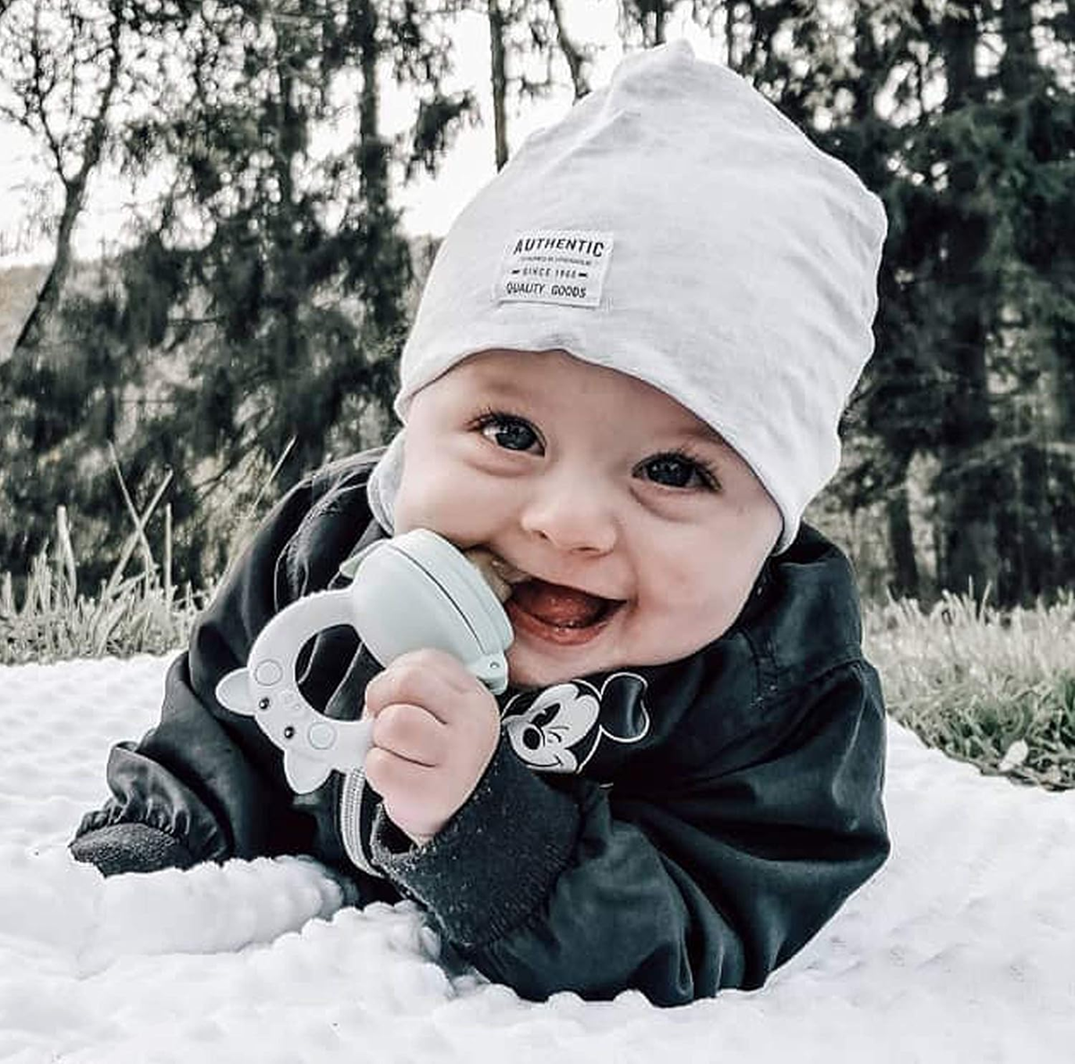 NORDHAIN podavač dudlíku na ovoce pro děti 3-12m 2 kusy 6 náustků