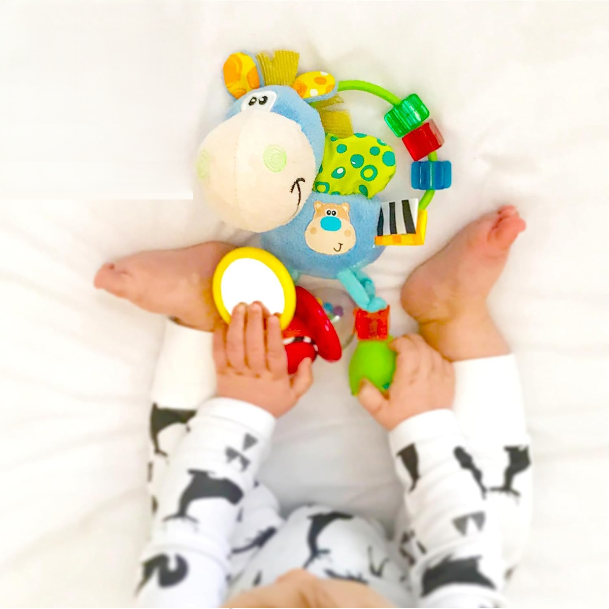 PLAYGRO Clip Clop sensory toy