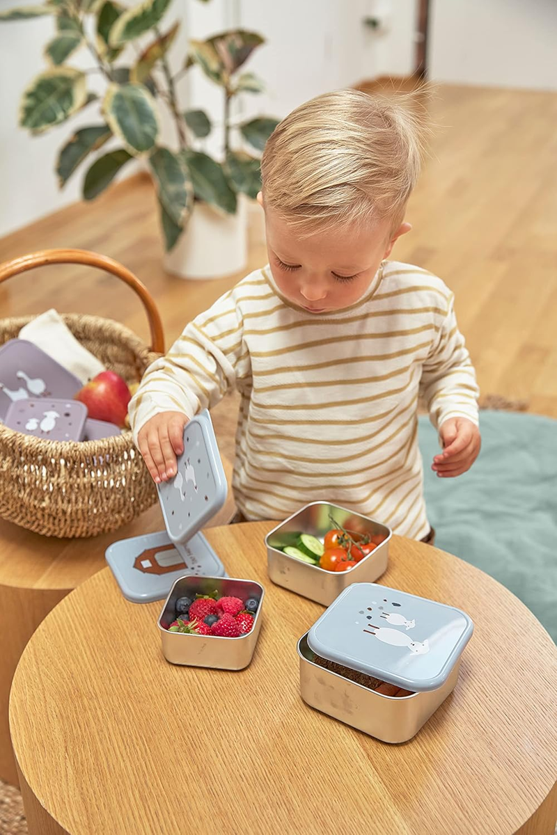 LASSIG Snackbox ocelové KRABIČKY NA SVAČINU x3