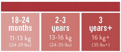 BAMBINO MIO Trainingshöschen 3–4 Jahre x3 – Produktbild 3