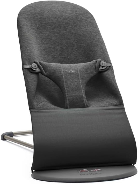 BABYBJÖRN 2-in-1 bouncer, rocker, chair