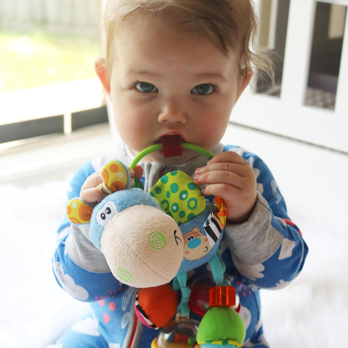 PLAYGRO Clip Clop sensory toy
