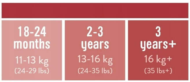 BAMBINO MIO majtki treningowe białe 3 lata+ dla dziecka 16 kg+, tabela rozmiarów 3 years+