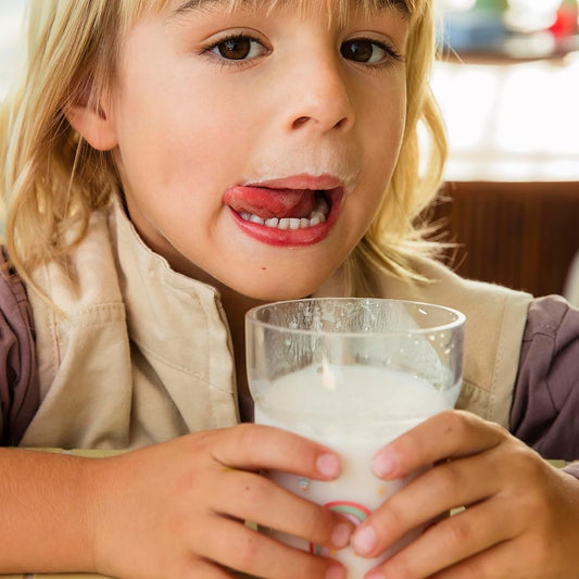 MEPAL hrnek na studené nápoje 250 ml Květiny a Motýli