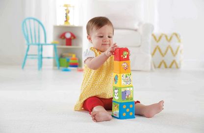 FISHER-PRICE Stack & Explore Blocks set of 5 blocks