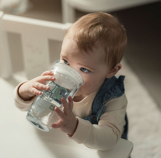 MAM Easy to Drink Cup 360° spout sippy cup 290 ml 8 m+ ZEBRA