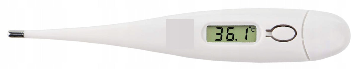 DCT double digital electronic thermometer