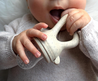BABYLEDO fruit feeder teether