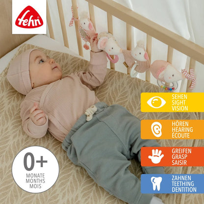 Fehn FehnLand stroller and crib toy Farm